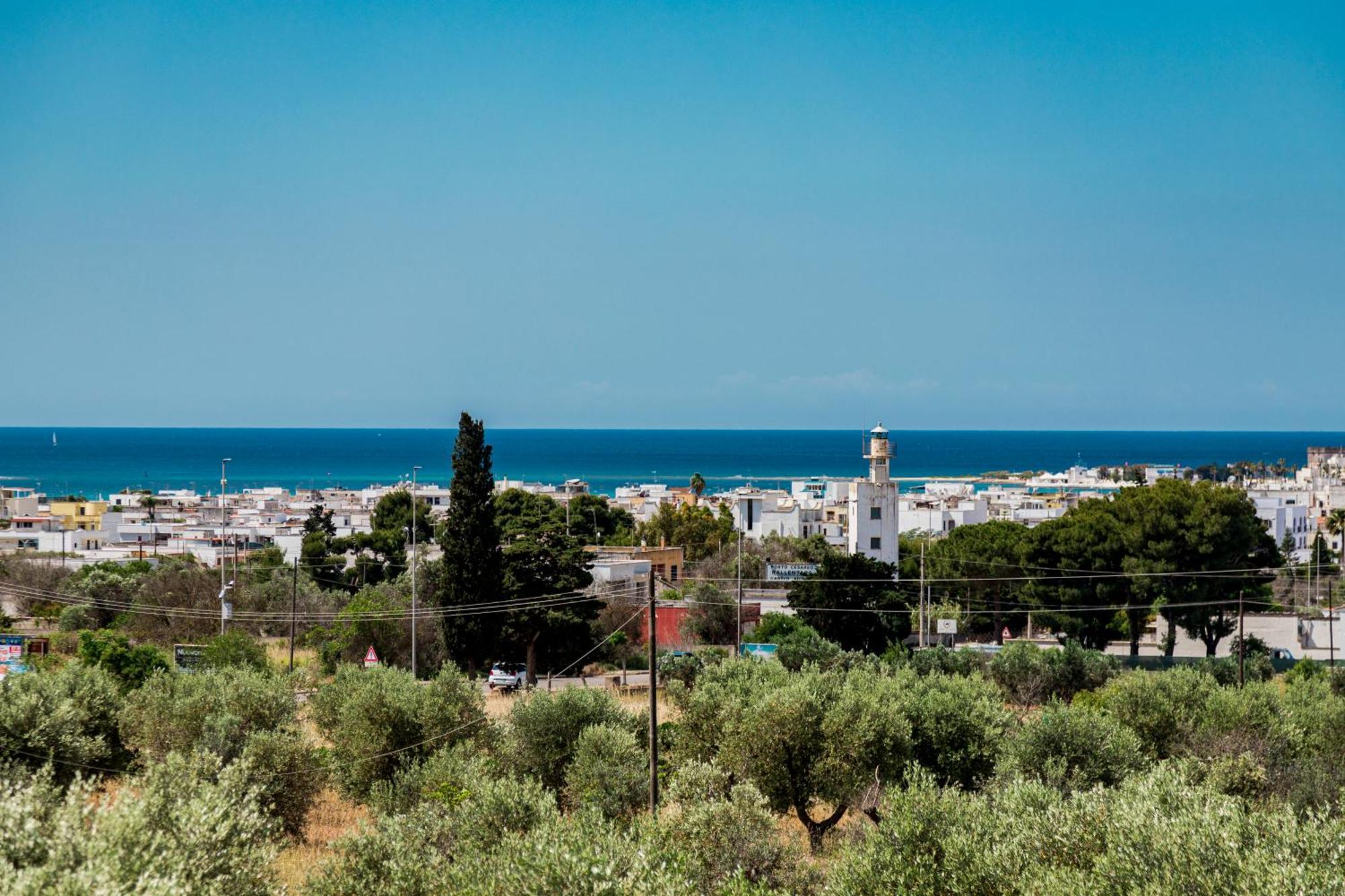 B&B Villa Noemi Porto Cesareo Bagian luar foto